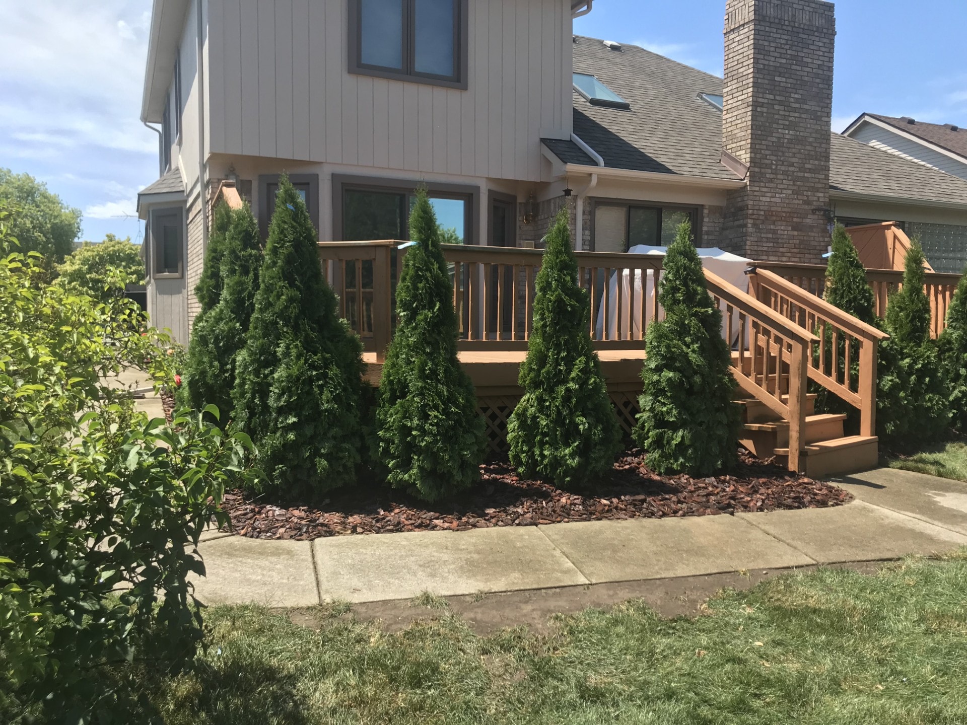 Fresh planting in a landscaped garden bed