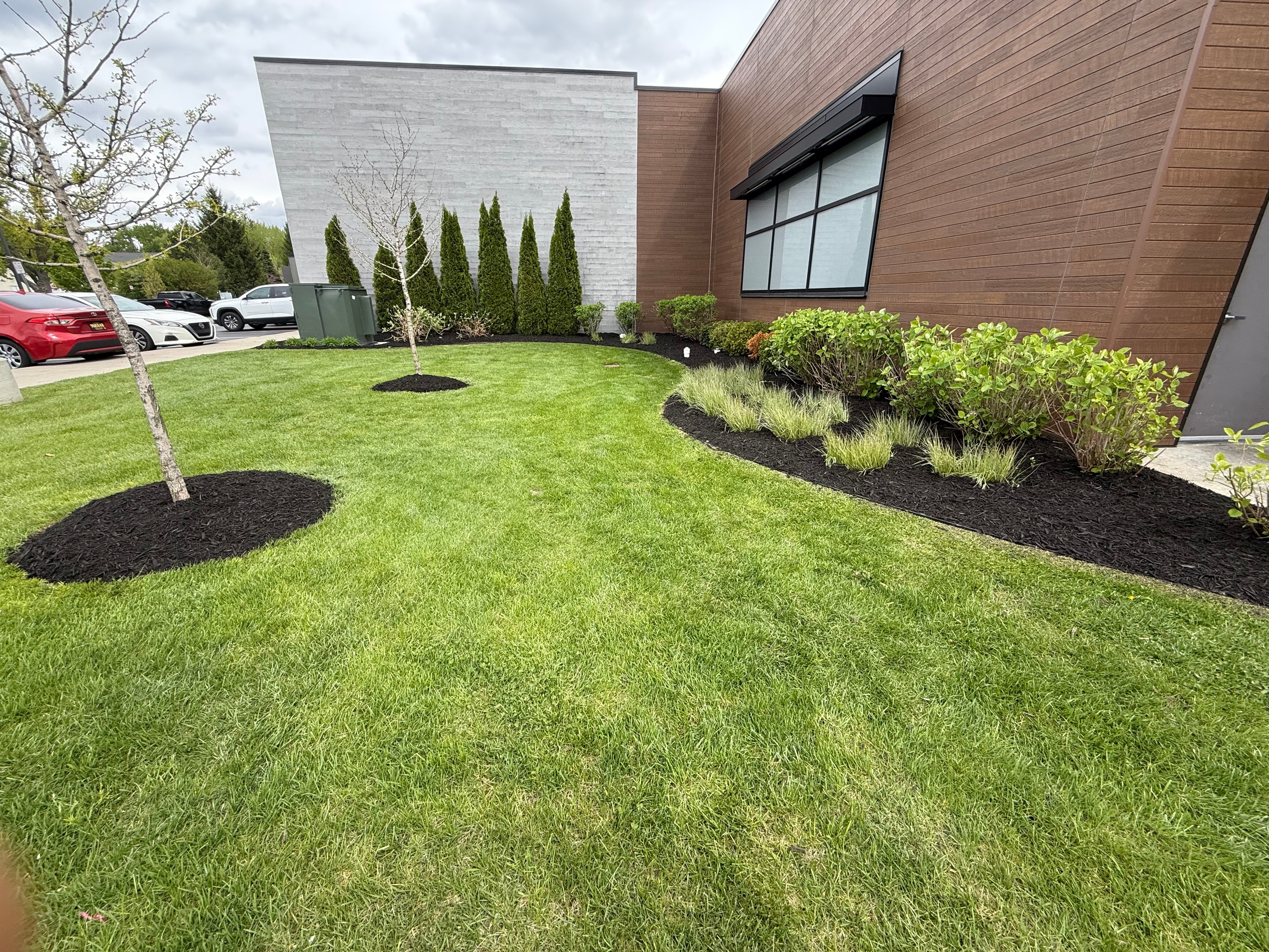 Fresh mulch installed in a landscaped garden bed
